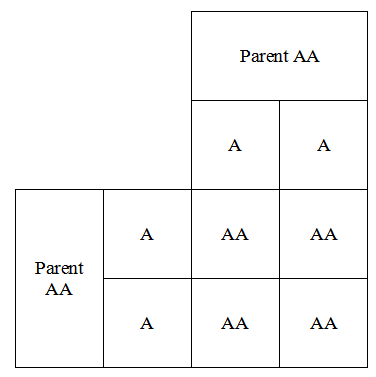 Interitance matrix for AA x AA