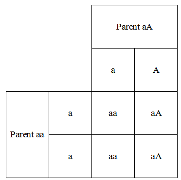 Inheritance matrix for aa x aA