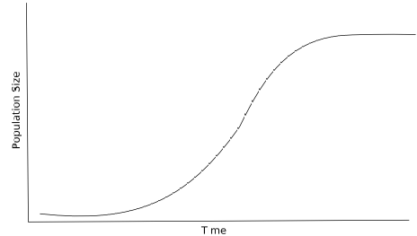 Population Growth Curve